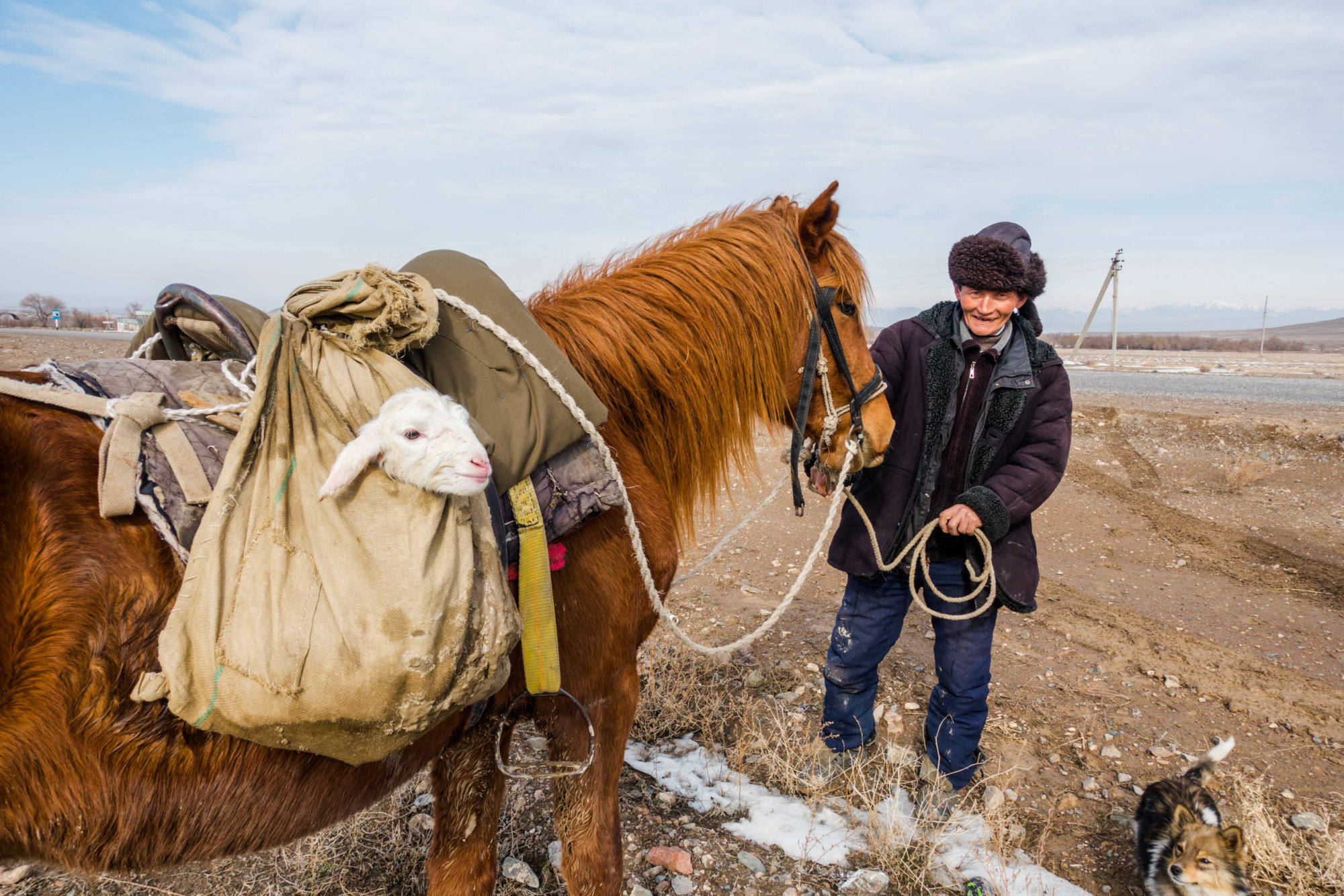 Mountain Network - Freeride Kazachstan_17