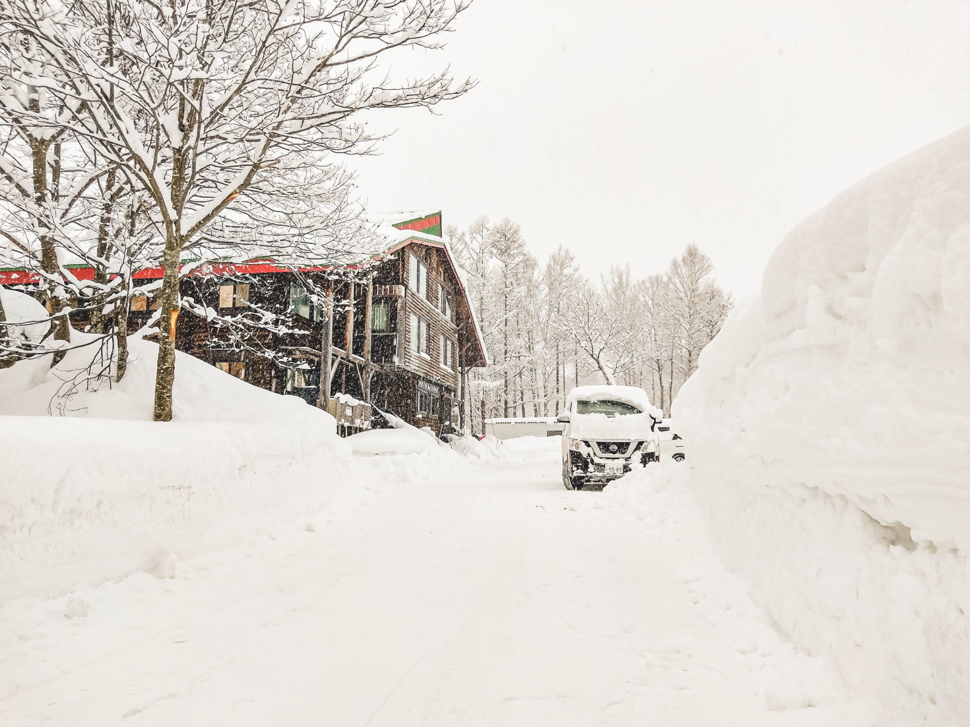 Mountain Network - JAPOW!_20