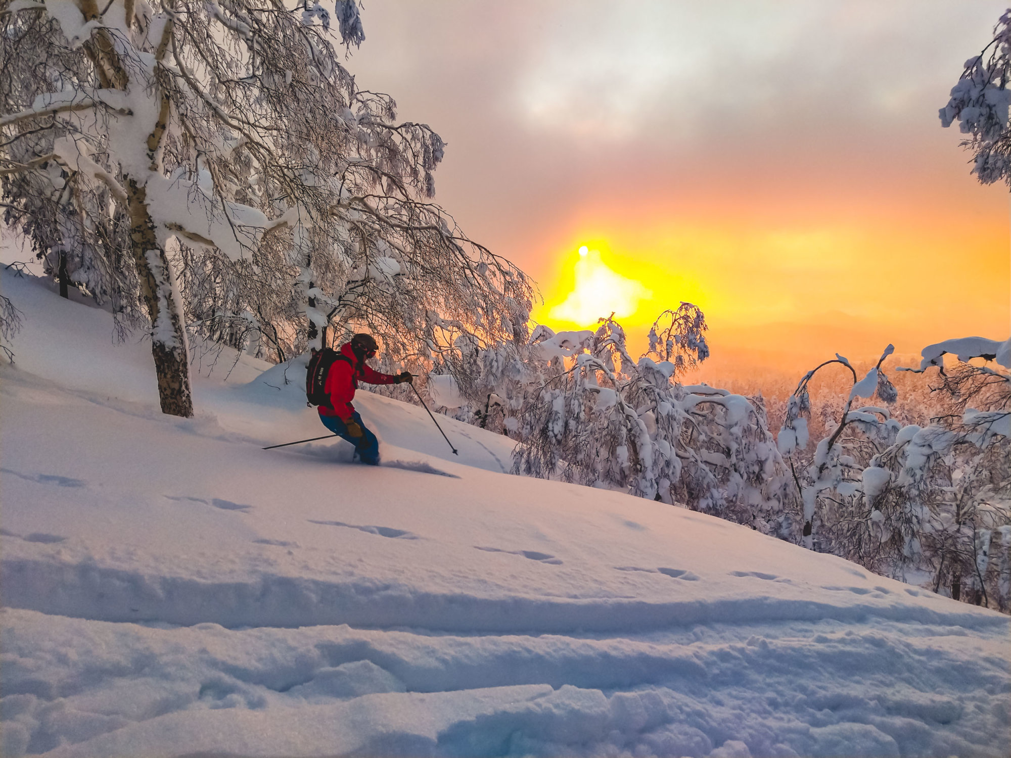 Hokkaido is de ultieme freeride bestemming in Japan