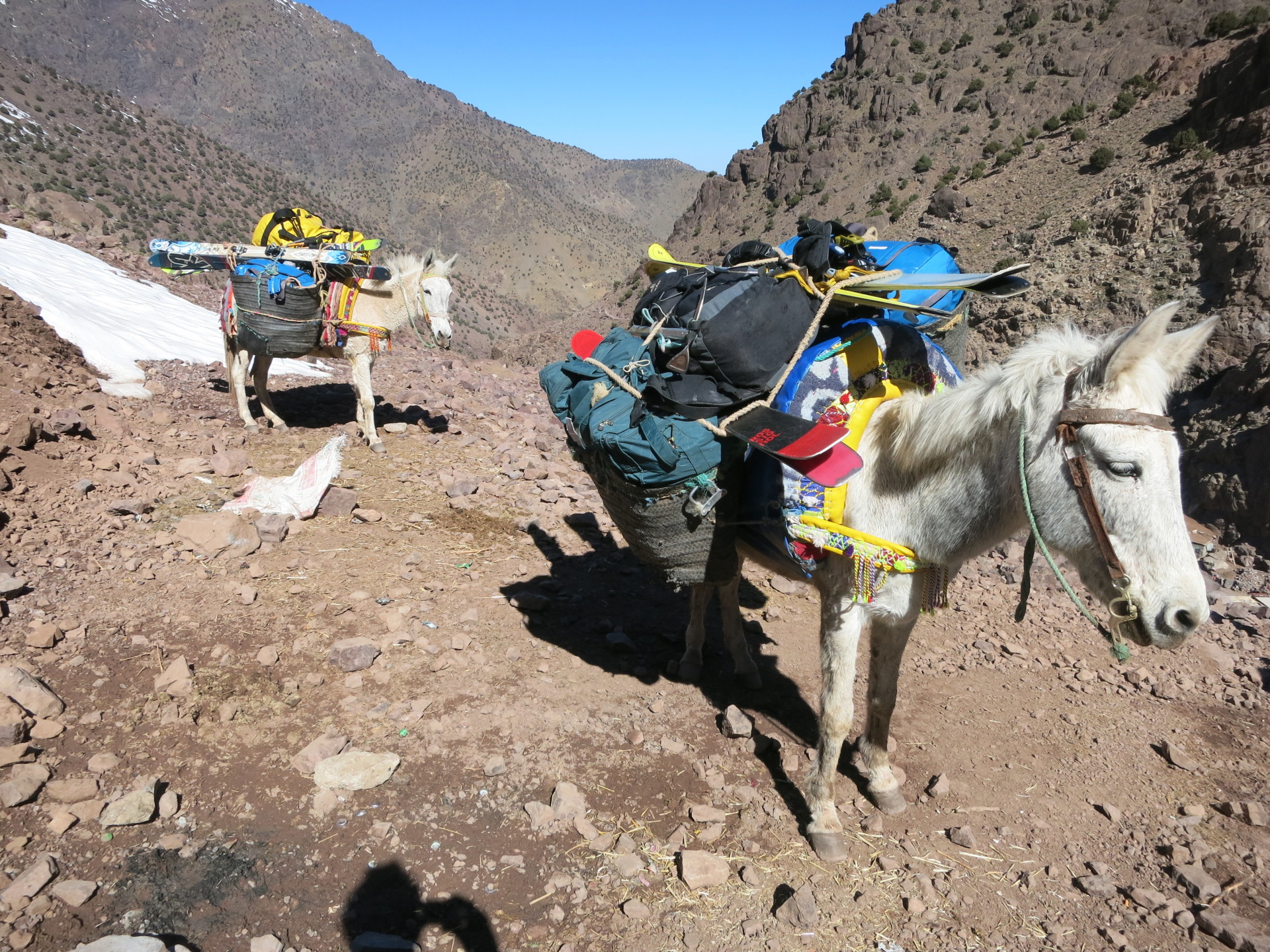 De toerski's op de ezel richting Jebel Toubkal