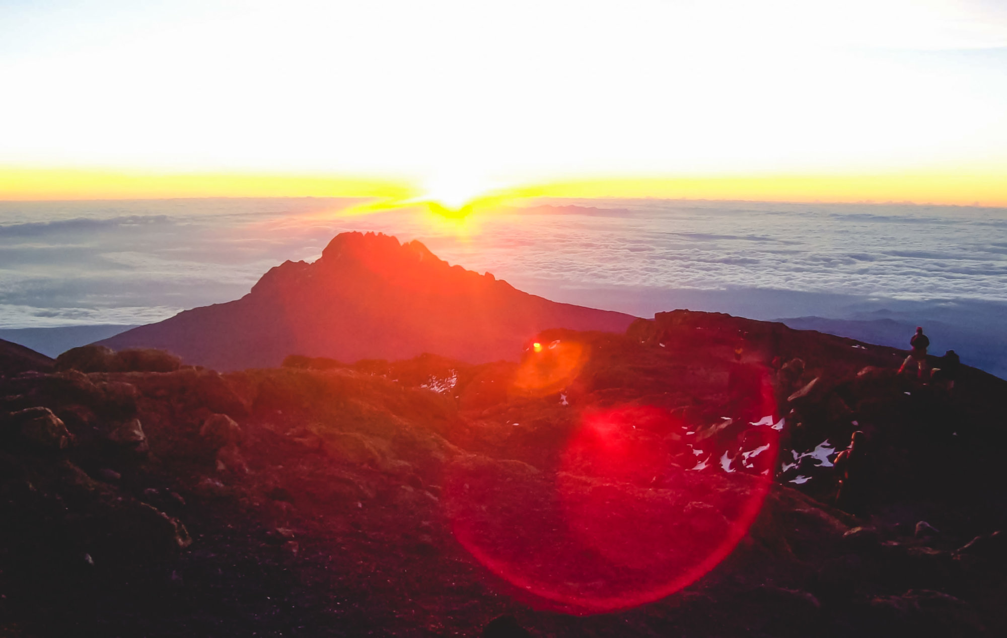 Mountain Network - Kilimanjaro-43