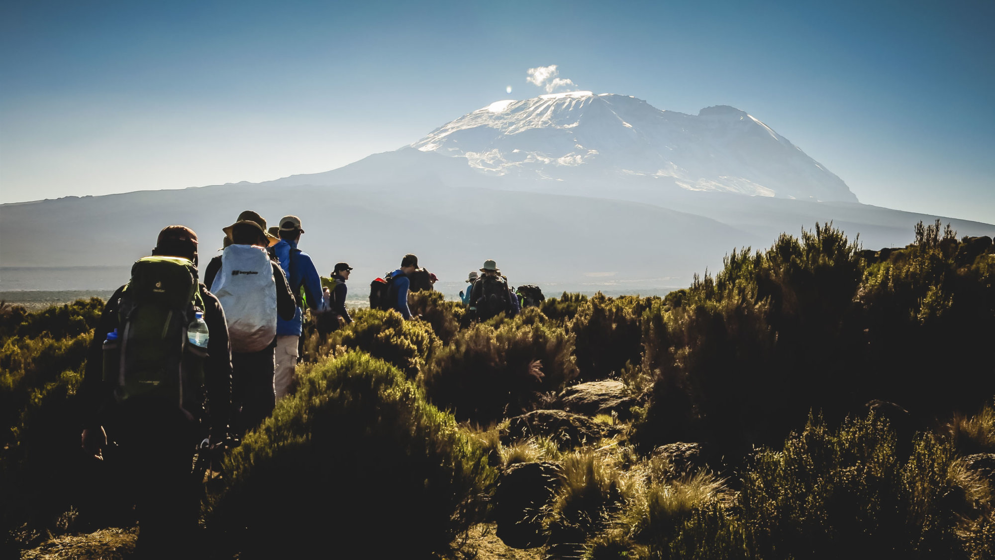 Mountain Network - Kilimanjaro-46