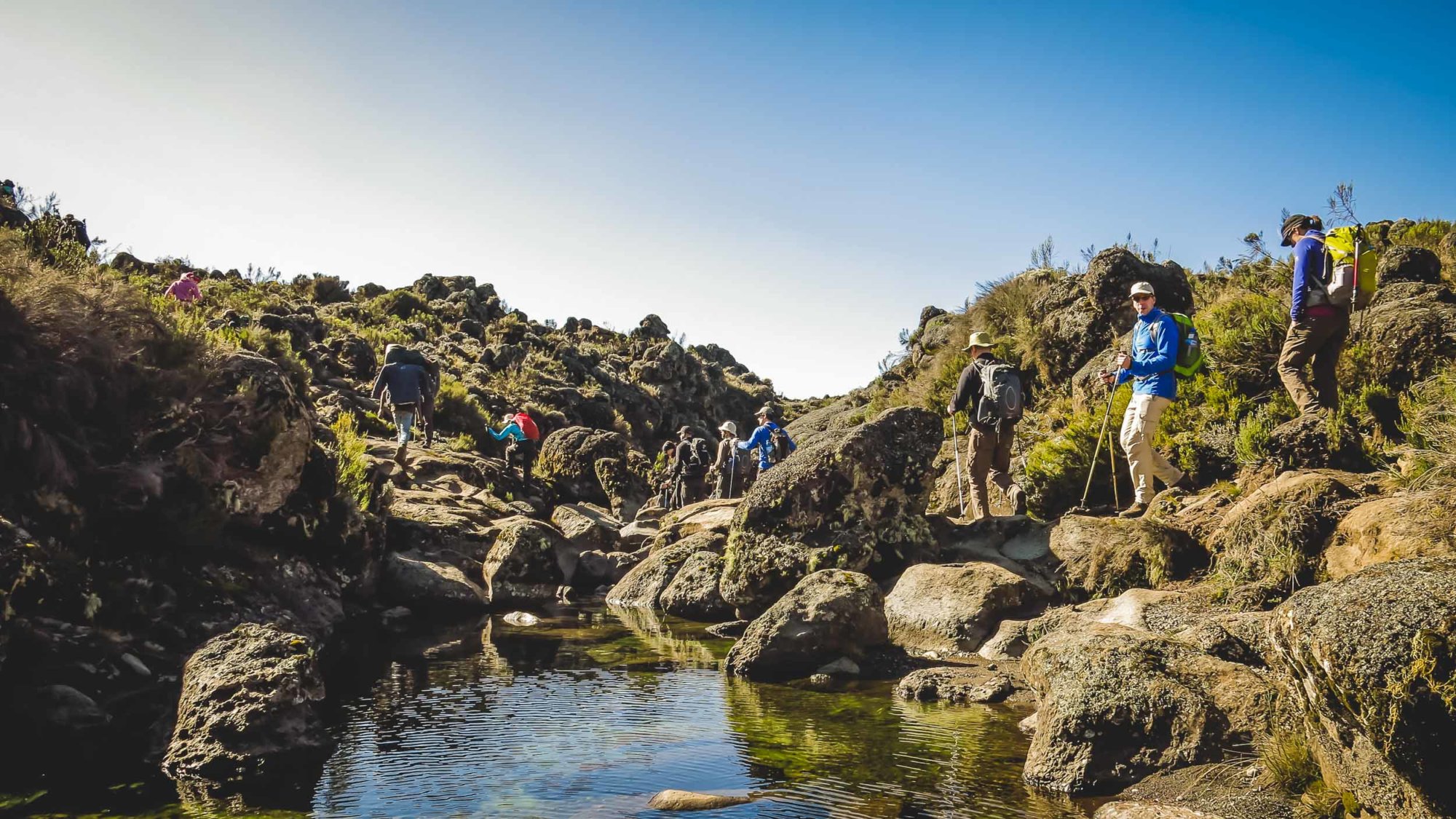 Mountain Network - Kilimanjaro-47