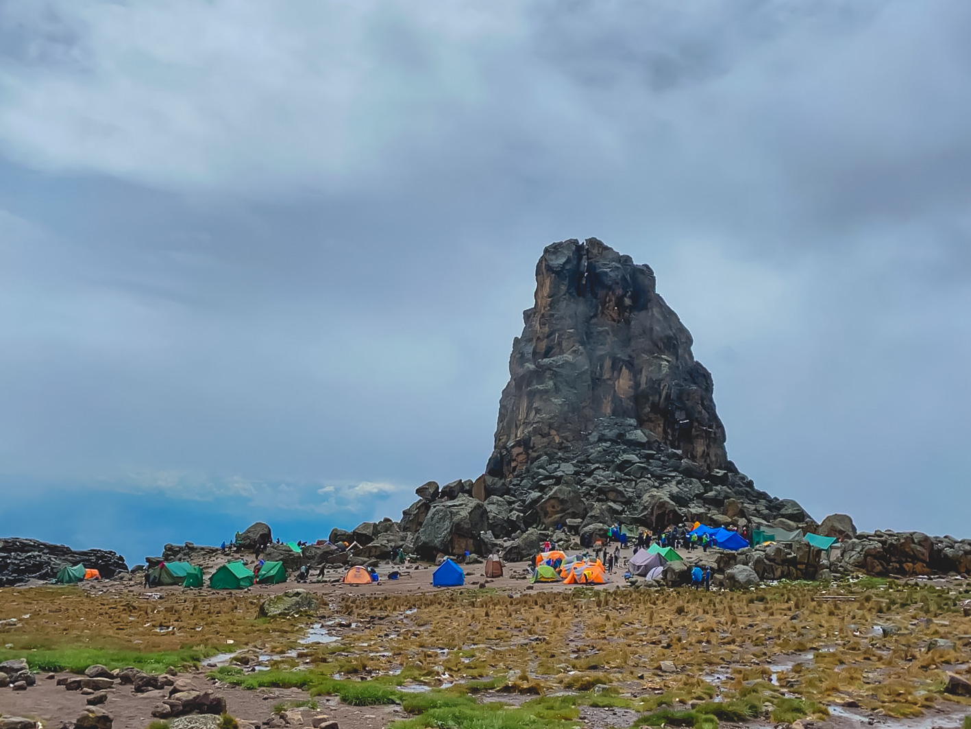 Mountain Network - Kilimanjaro-55