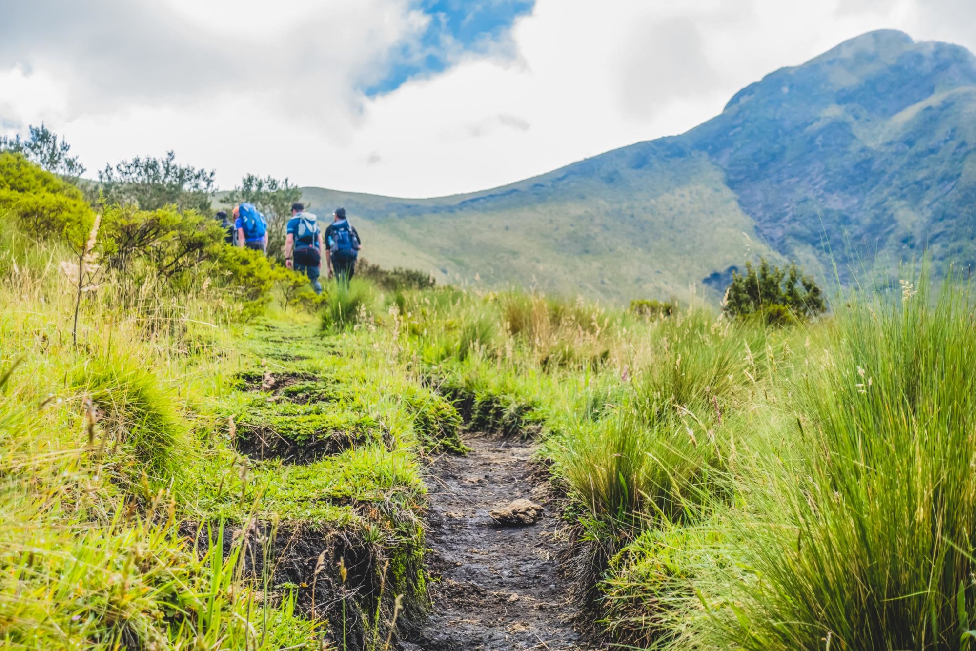 Mountain Network - Vulkanen Expeditie_Boris_Textor18