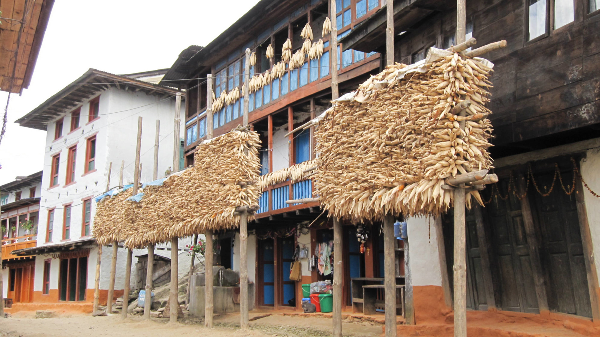 Village street view